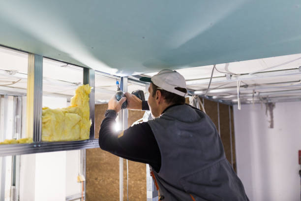 Best Specialty Insulation in Swainsboro, GA