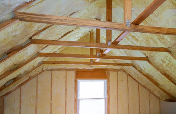 Best Commercial Insulation in Swainsboro, GA